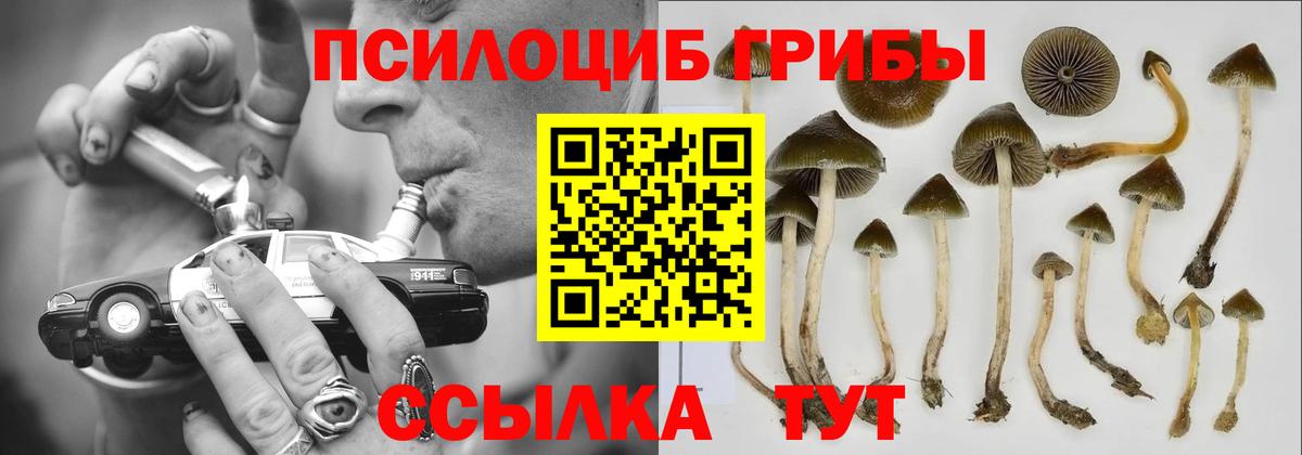 Галлюциногенные грибы Psilocybine cubensis  Вход с VPN  Кириши 